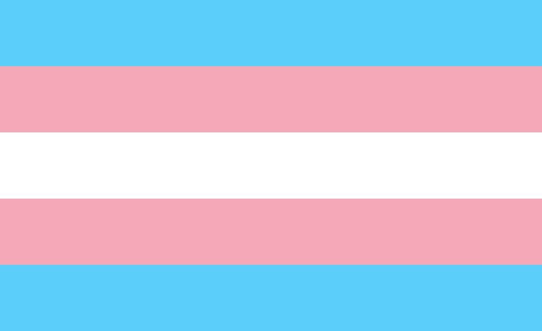 Transgender Pride Flag has five horizontal stripes, the top and bottom stripe are a pale blue, the second and fourth stripe are pink and the center stripe is white