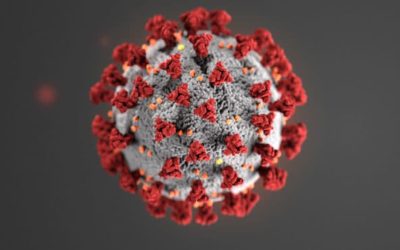 Coronavirus (COVID-19) Information